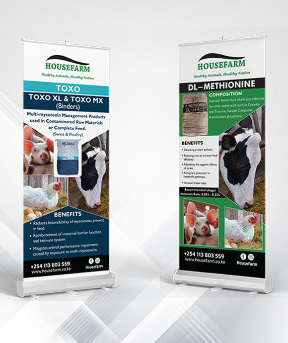 Digital Agency