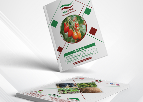 Publications